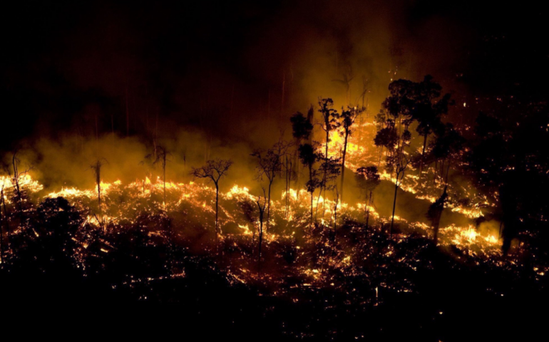 L’Amazzonia brucia, e Bolsonaro dà le colpe a Ong e ambientalisti: «Non abbiamo risorse per intervenire»
