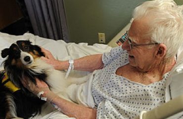 Cani e gatti in ospedale con i loro amici degenti
