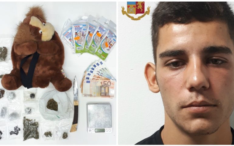 Selargius: arrestato spacciatore, in casa telecamera e grosso cane “antipolizia”