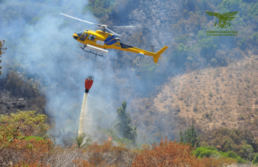 corpo forestale incendio