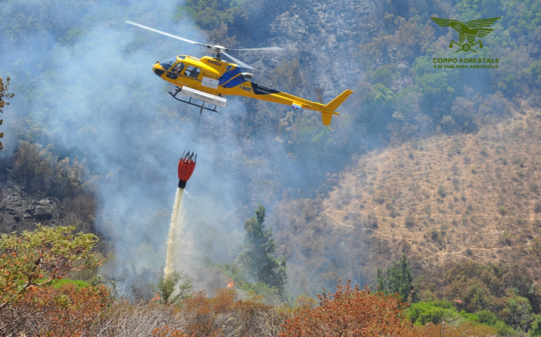 corpo forestale incendio