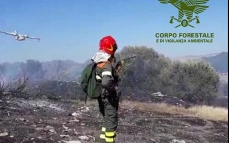 Ancora fuoco in Sardegna da nord a sud, incendi lungo tutta l’Isola