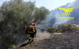 incendi corpo forestale