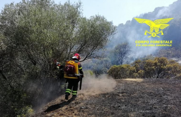 incendi corpo forestale