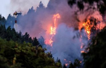 incendio gran canaria