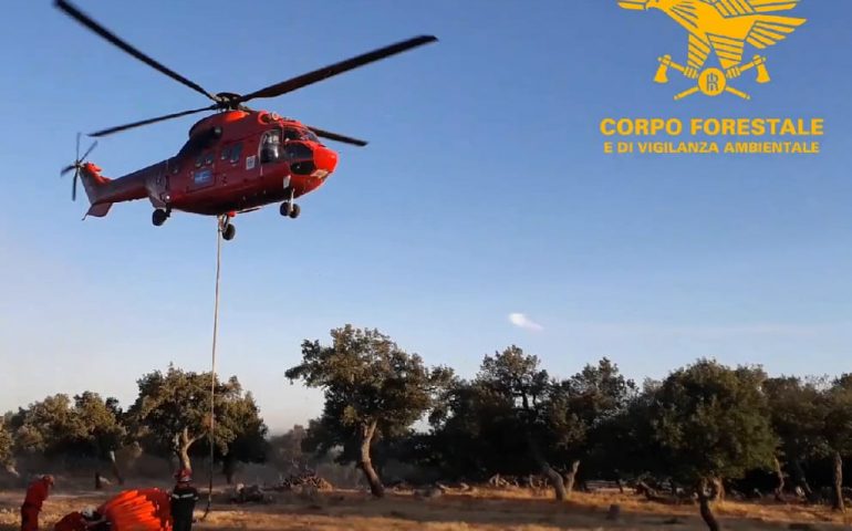 Pula: riprende vigore l’incendio di ieri alimentato dal vento, sul posto mezzi aerei
