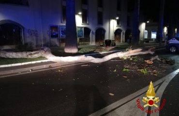 Ramo di un albero caduto in piazza Roma a Oristano