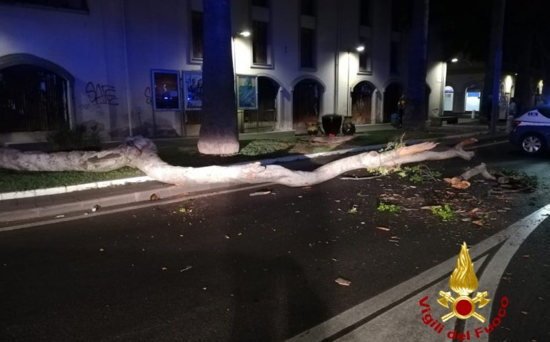 Ramo di un albero caduto in piazza Roma a Oristano