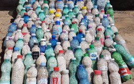 Foto Sardegna rubata e depredata