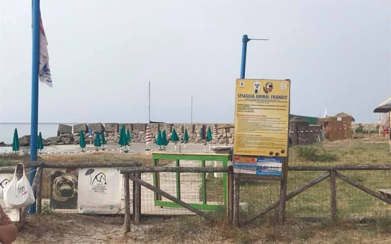 La spiaggia dei cani a Porto Pino chiusa dalla Guardia Costiera