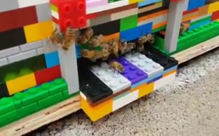 Costruiamo l’arnia con le Lego? Ecco la proposta di chi ama davvero le api, gli insetti da cui dipende il futuro del Mondo