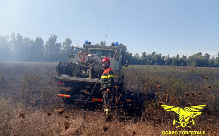 incendio olbia