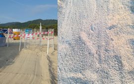 Cala Sinzias: nella notte la nascita di tante piccole tartarughe