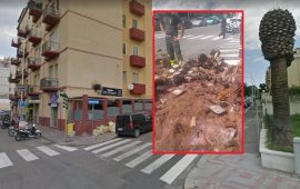 Palma crollata in via della Pineta