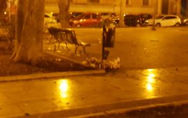 piazza del carmine notte
