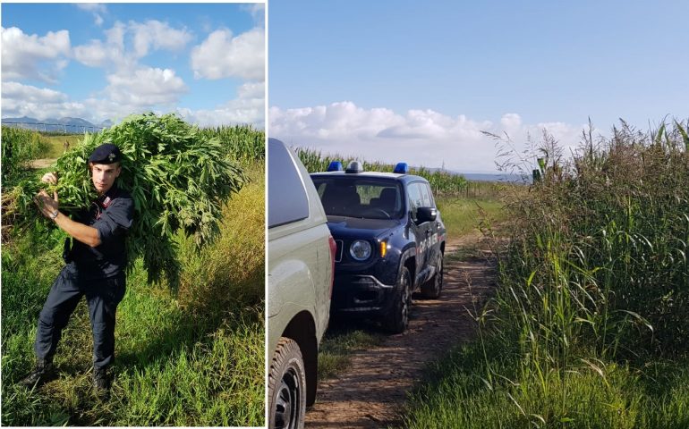 Sequestro di droga a Pabillonis