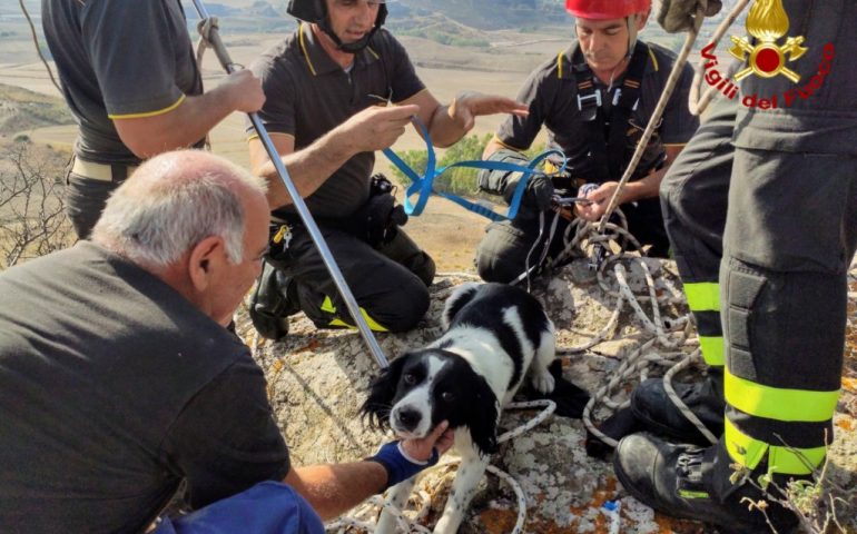 Serrenti: i Vigili del Fuoco salvano un cagnolino