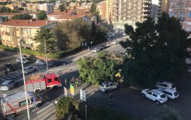 Via dei Giudicati: tre alberi cadono per il forte vento