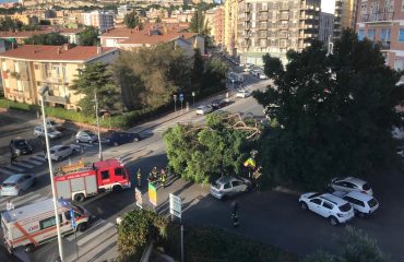 Via dei Giudicati: tre alberi cadono per il forte vento