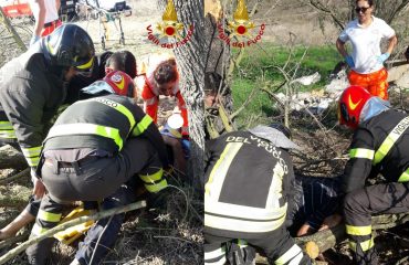 Anziano travolto da un albero a Sanluri