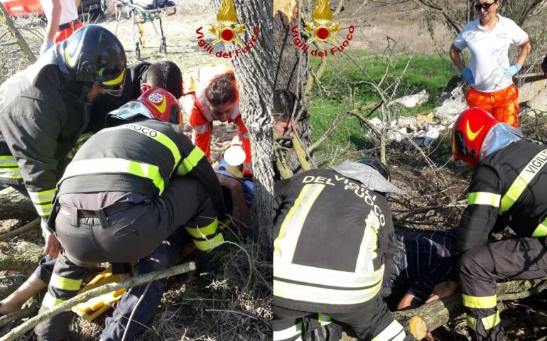 Anziano travolto da un albero a Sanluri