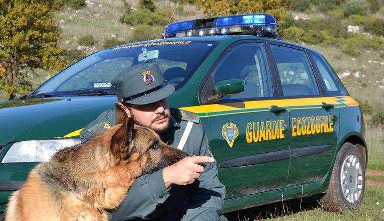 LAVORO. Guardie ecozoofile cercasi in Sardegna