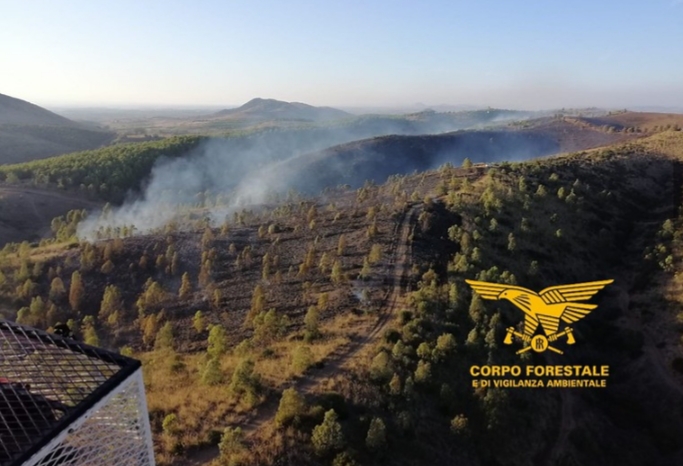 Monastir: vasto incendio brucia 25 ettari di Eucalyptus e Pini, necessari 2 elicotteri