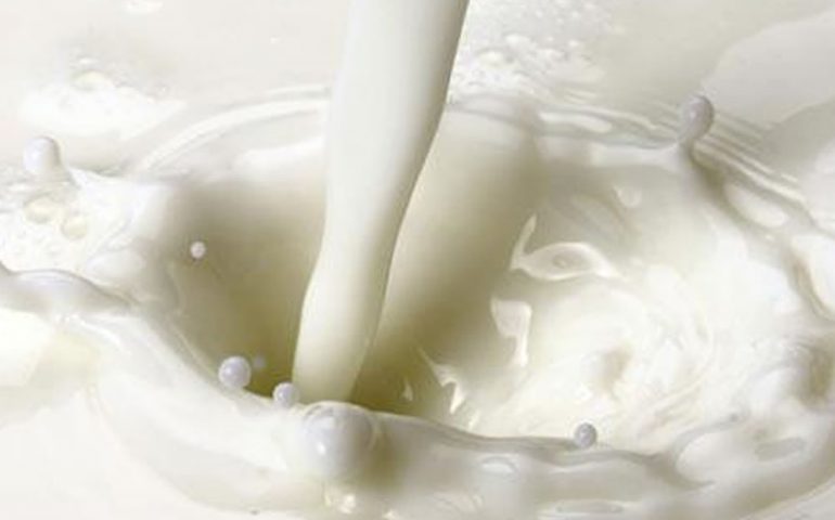 Nasce il Fondo nazionale latte ovino: 10 milioni di euro la dotazione per sostenere i produttori