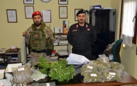 Tre chili di marijuana sequestrati dai Carabinieri a Guasila