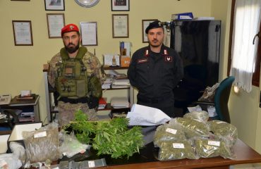 Tre chili di marijuana sequestrati dai Carabinieri a Guasila