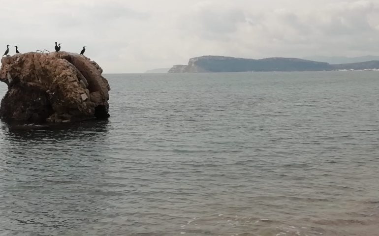 La foto. Un Poetto diverso, al colore del Mare del Nord: Cagliari, 31 ottobre 2019