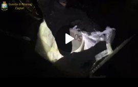 video-guardia-di-finanza-droga-pistole-sigarette-uta-2
