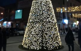 L'albero di Natale in piazza Garibaldi a Cagliari