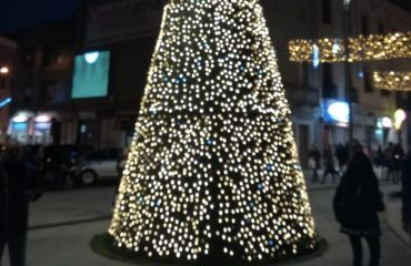 L'albero di Natale in piazza Garibaldi a Cagliari