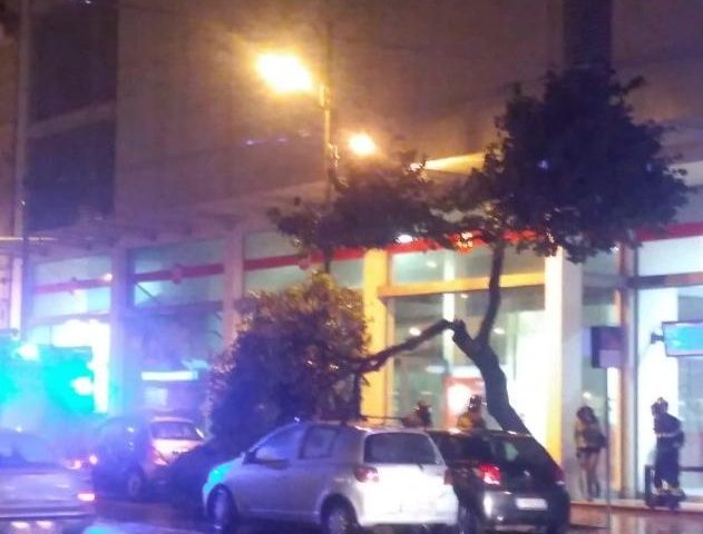 Cagliari, albero cade su due autovetture in sosta a causa del maltempo