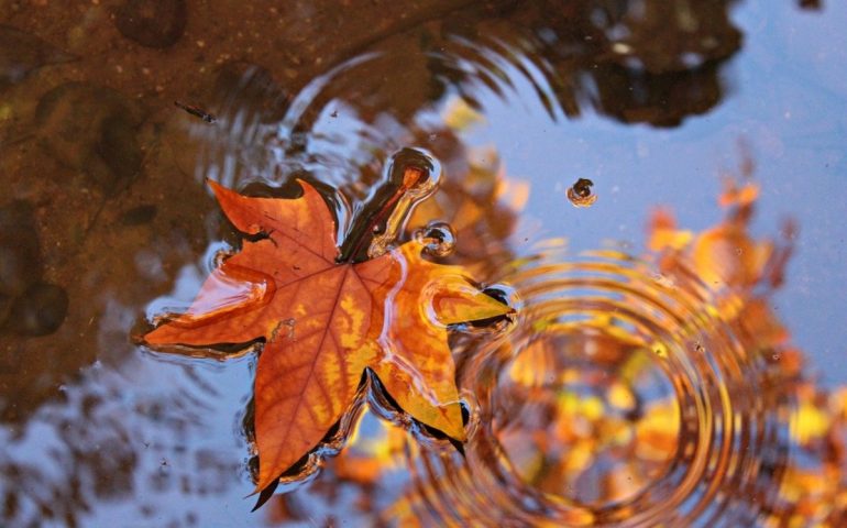 Meteo della settimana: piogge, vento e freddo, benvenuto novembre!