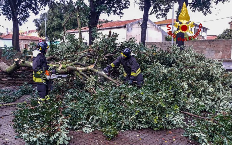 Maltempo in Sardegna, danni e alberi abbattuti, soprattutto al nord