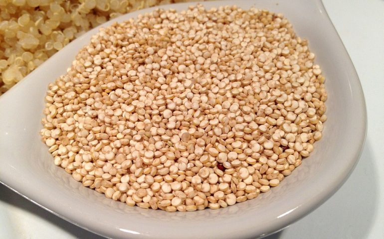 Quinoa: un progetto per coltivarle il superfood in Sardegna