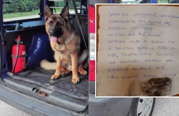 Il cane antidroga Rocky e la lettera dedicatagli dagli spacciatori del vicentino