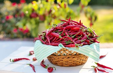 peperoncino - immagine di repertorio