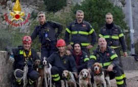 I vigili del fuoco salvano cinque cani da caccia finiti in un dirupo a Buggerru