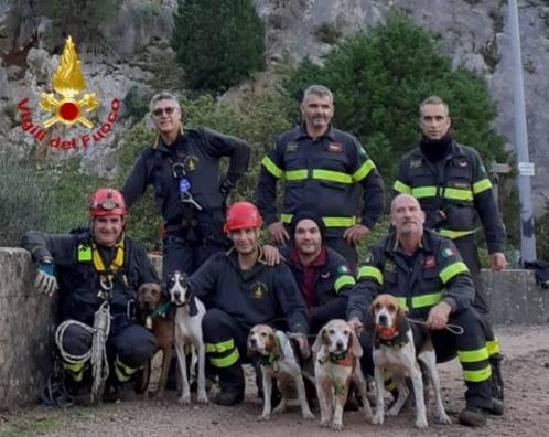 I vigili del fuoco salvano cinque cani da caccia finiti in un dirupo a Buggerru