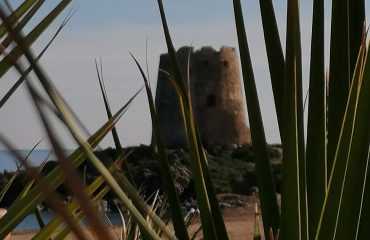 torredibarisardo