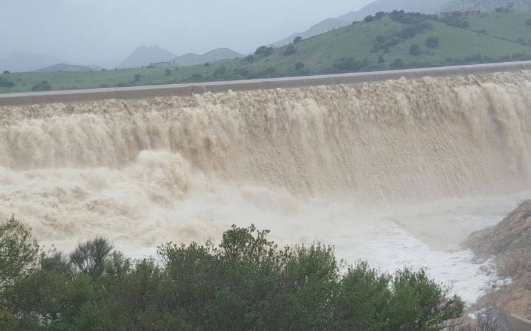 80 pecore portate via dalla furia dell’acqua della diga: un giovane allevatore del nuorese si salva per miracolo