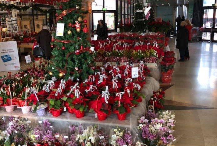 Chiusura Briconcenter a Pirri, Ardau: “Non possiamo perdere altri posti di lavoro”