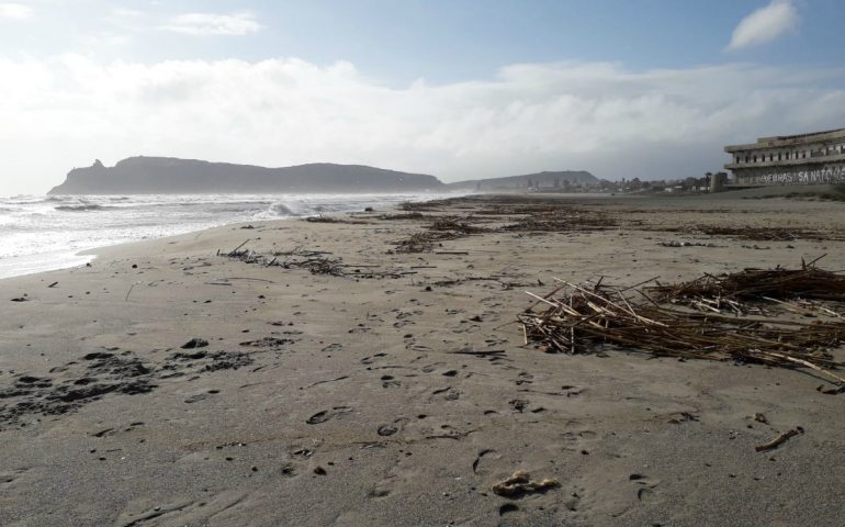 Le canne al Poetto: tavolo tecnico? Ci sta già pensando la natura