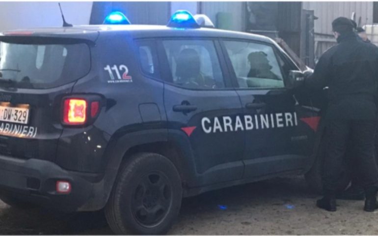 Carbonia: vasta operazione di controllo dei Nas su due aziende di allevamento, si cercavano farmaci vietati