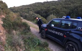 Incidente di caccia a Burcei, carabinieri sul posto