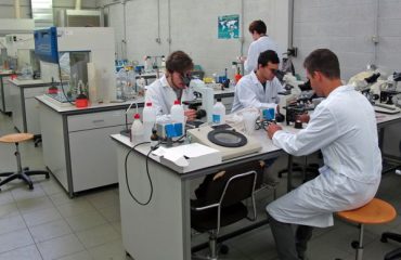 ricercatori