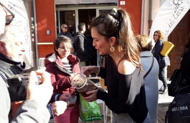colazionepedonale-camillasoru-caffè-residenti